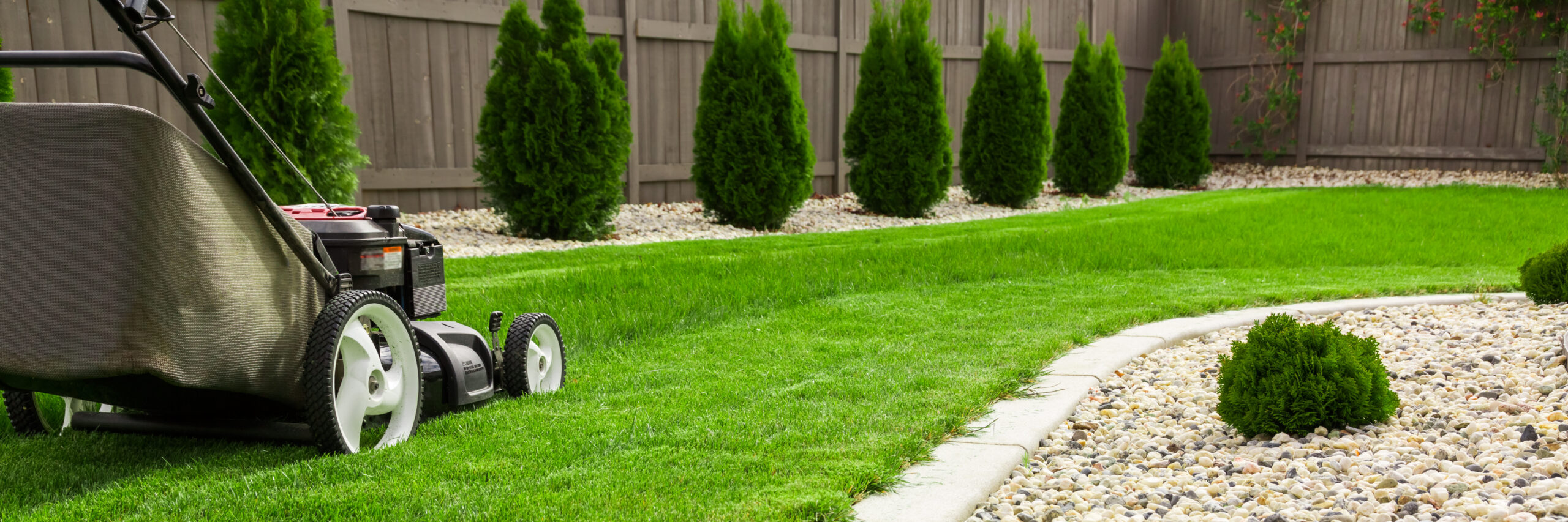Lawn mower cutting green grass in backyard, mowing lawn